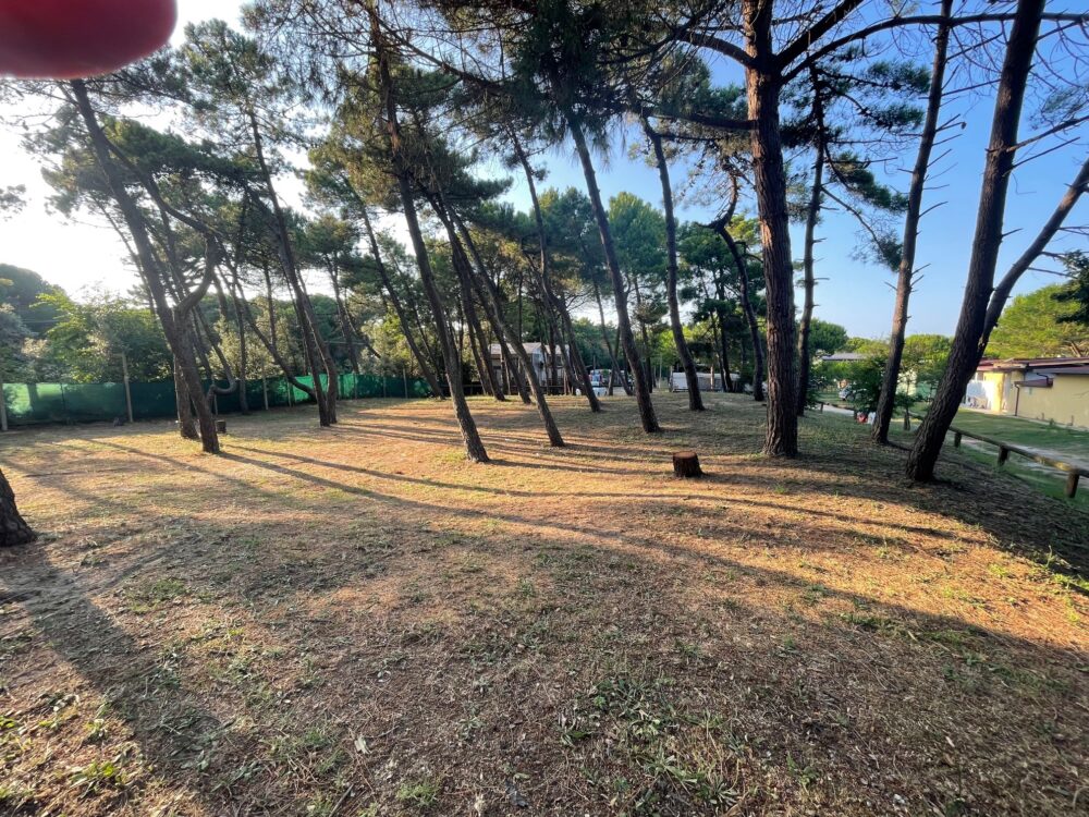 Camping Parco del Delta Ravenna | Piazzole Pineta