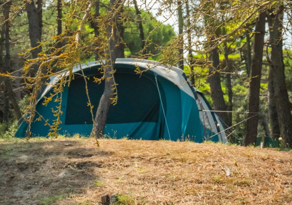 Po Delta Park Campsite Ravenna | Pine Forest Pitch
