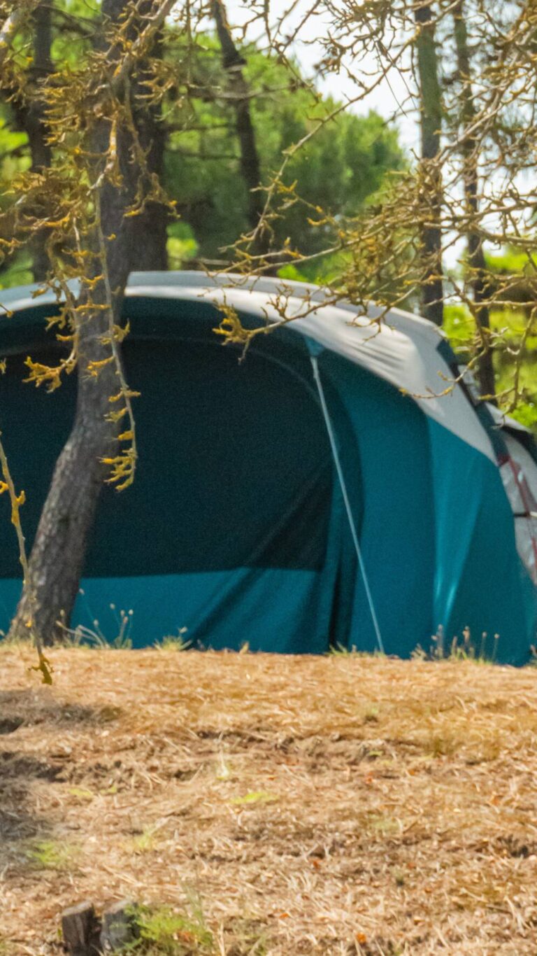 Po Delta Park Campsite Ravenna | Pine Forest Pitch